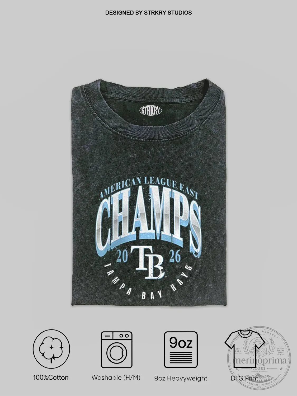 Tampa Bay Rays American League East Division Champions 2026 T-Shirt