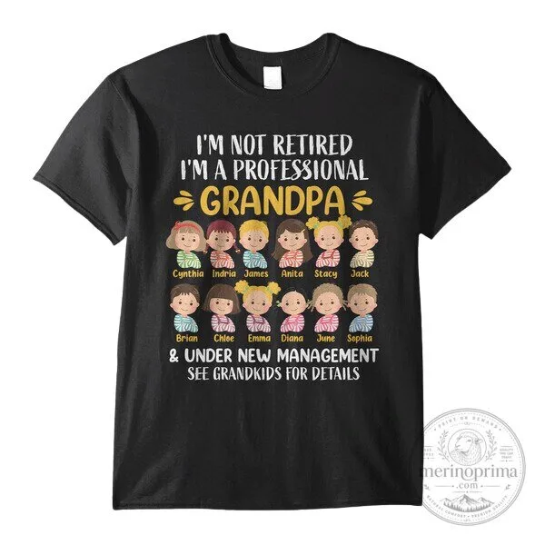 Professional Grandpa Under New Management See Grandkids For Details T-Shirt